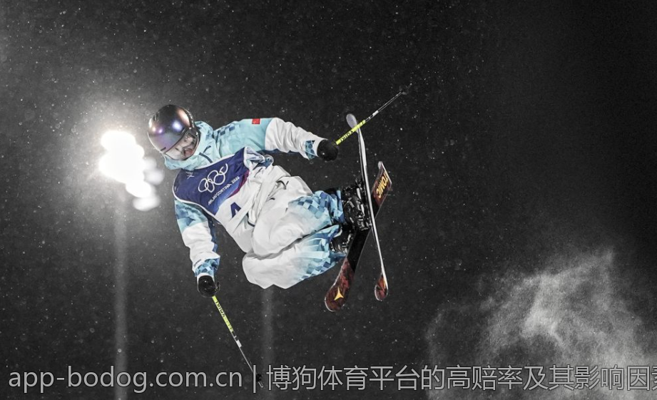 博狗体育平台的高赔率及其影响因素