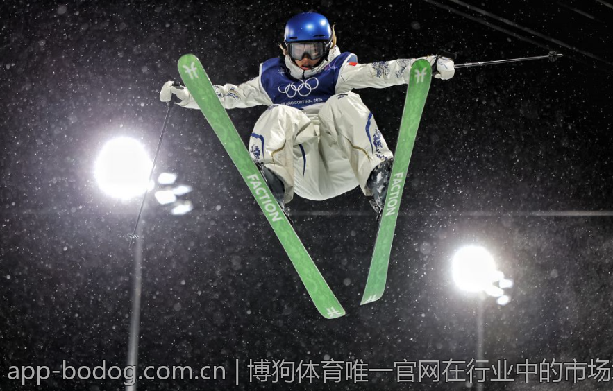 博狗体育唯一官网在行业中的市场地位