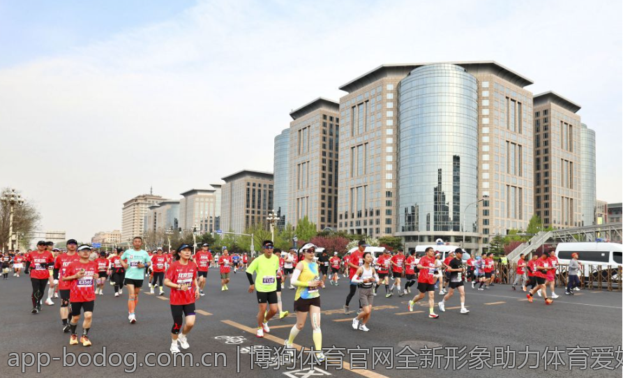 博狗体育官网全新形象助力体育爱好者