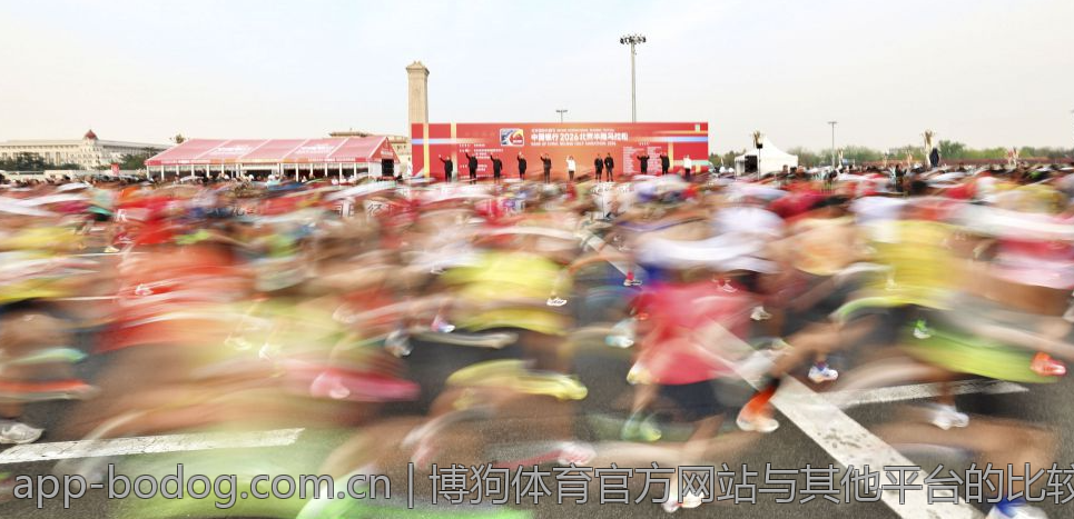 博狗体育官方网站与其他平台的比较及优势
