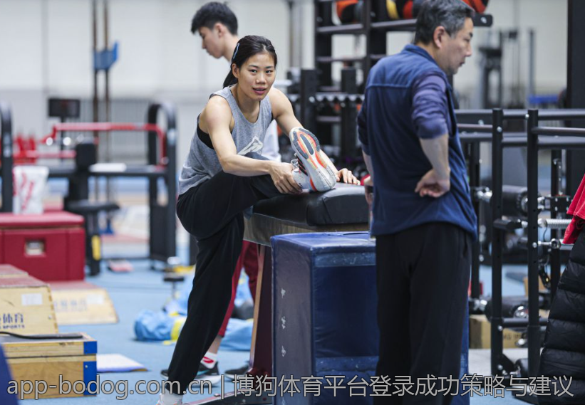博狗体育平台登录成功策略与建议